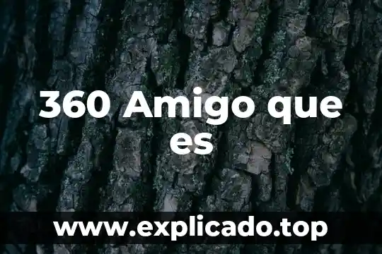 Que es para ti mejor amigo 5 360 Amigo que es