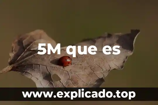Filosofi que es 3 5M que es