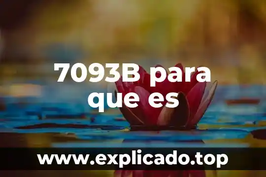 Filosofi que es 4 7093B para que es