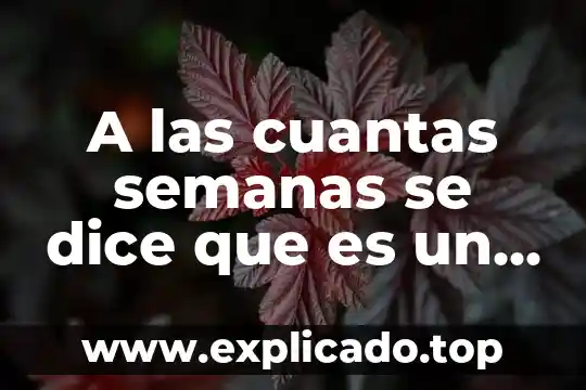 A cuántas semanas se puede saber que es mi bebe 3 A las cuantas semanas se dice que es un aborto