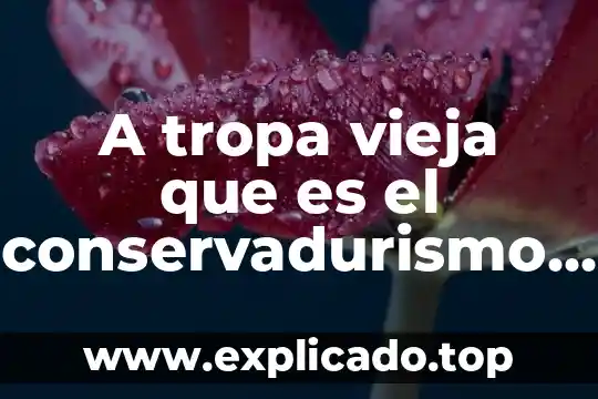 Que es la atmosfera en la obra teatral 4 A tropa vieja que es el conservadurismo de la obra