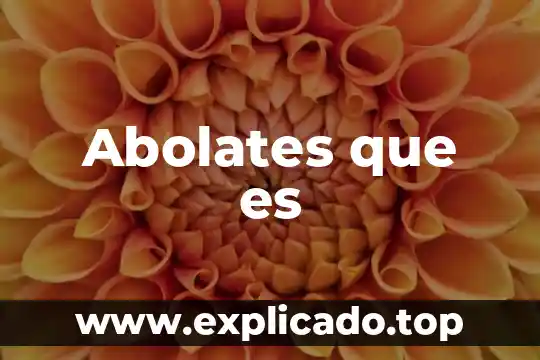Que es una cas señorial 7 Abolates que es