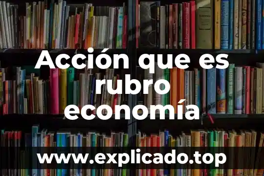 Que es isi en economia 3 Acción que es rubro economía