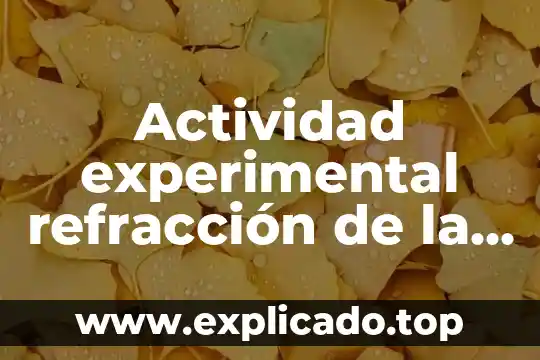 Qué es el plan de luz y para qué sirve 3 Actividad experimental refracción de la luz que es
