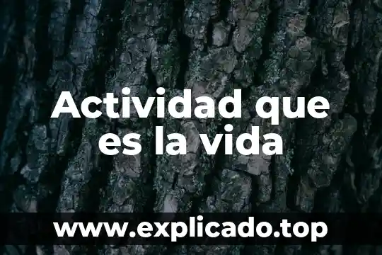 Que es dela vida del señor de los cielos 6 Actividad que es la vida