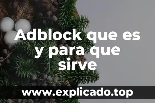 Que es metoclopramida para que sirve 5 Adblock que es y para que sirve