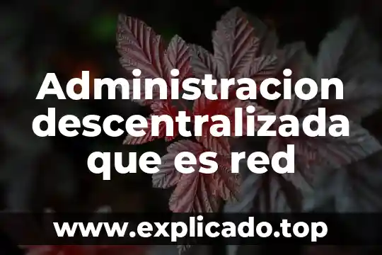 Lo que es en la organización descentralizada y descentralizada 3 Administracion descentralizada que es red