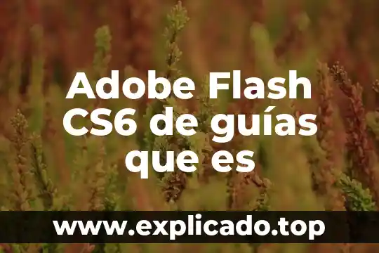 Que es una linea del tiempo en flash cs3 5 Adobe Flash CS6 de guías que es