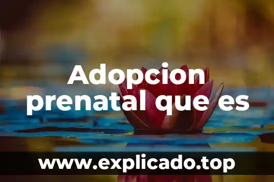 Adopcion prenatal que es