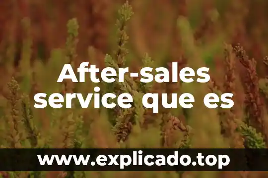 Adm fuel service que es 4 After-sales service que es