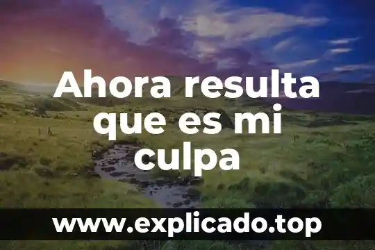 Plante un árbolito y ahora resulta que es ilegal 4 Ahora resulta que es mi culpa