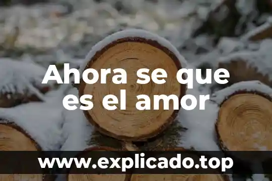 Plante un árbolito y ahora resulta que es ilegal 3 Ahora se que es el amor
