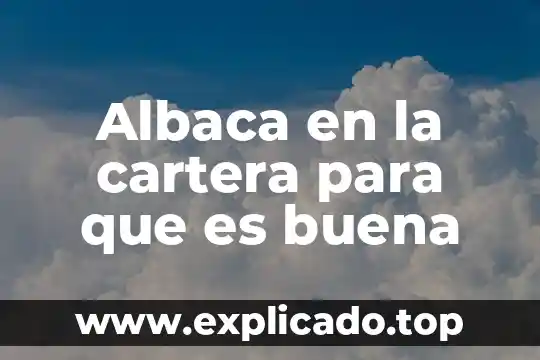 Cartera de credito y cobranza que es 8 Albaca en la cartera para que es buena