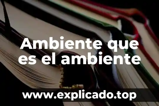 Qué es el medio ambiente para niños de preescolar definición 8 Ambiente que es el ambiente
