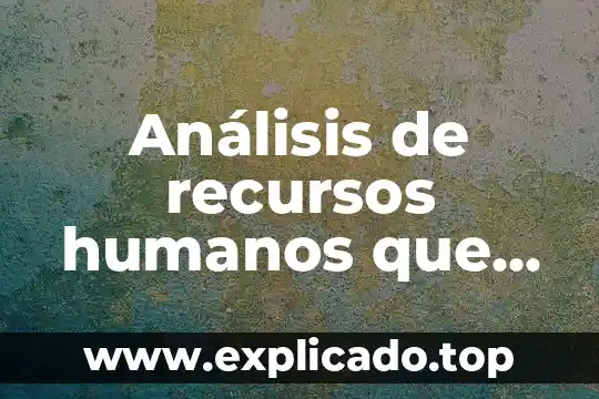 Que es el sistema universal de os derechos humanos 6 Análisis de recursos humanos que es
