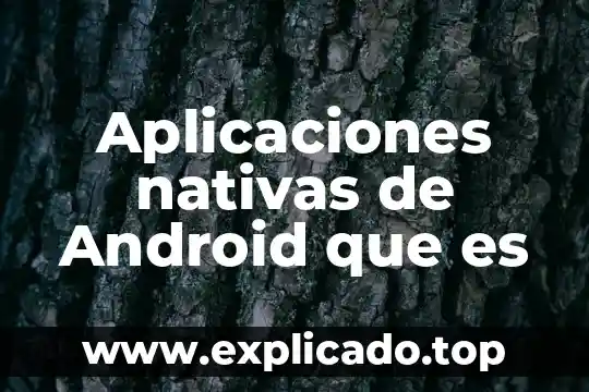 Que es com android os 8 Aplicaciones nativas de Android que es
