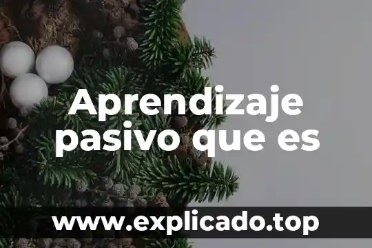 Que es pasivo y los tipos en una empresa 4 Aprendizaje pasivo que es