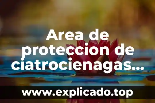 Que es un area de trabajo y com nos ayuda 4 Area de proteccion de ciatrocienagas que es