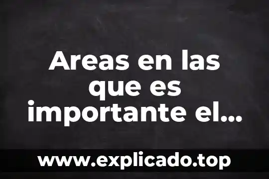 Que es un articulo de un aviso 4 Areas en las que es importante el software