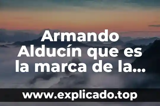 De que es marca soundgear 4 Armando Alducín que es la marca de la bestia