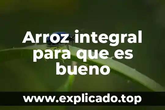 Afrecho de arroz que es 3 Arroz integral para que es bueno