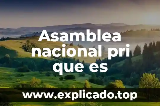 Qué es la jornada nacional de los jóvenes 6 Asamblea nacional pri que es
