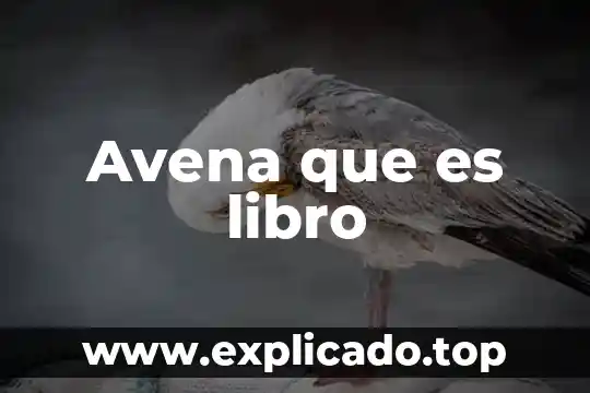 Qué es mejor el trigo o la avena 3 Avena que es libro