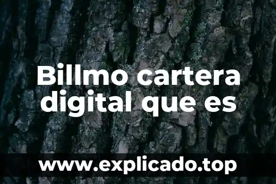 Cartera de credito y cobranza que es 3 Billmo cartera digital que es