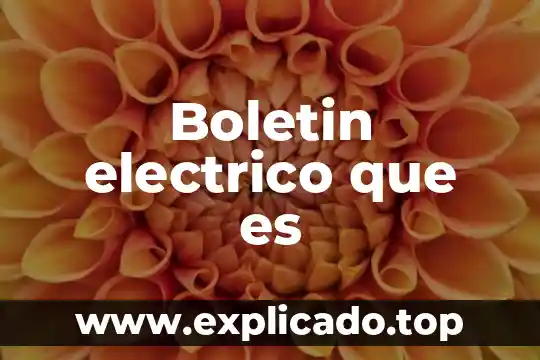 Que es el capo electrico 6 Boletin electrico que es