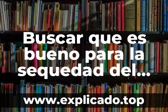 Buscar significado que es la dispanohablante información 4 Buscar que es bueno para la sequedad del pelo