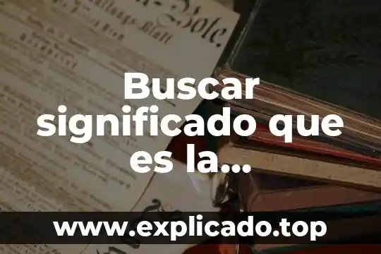 Que es un cuale son los parametros para buscar informacion 3 Buscar significado que es la dispanohablante información