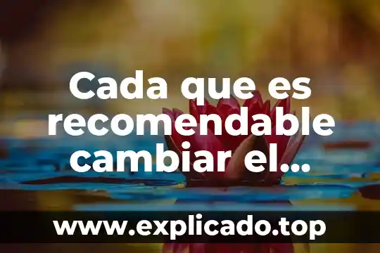 Que es mejor cambiar llanta o amortiguadores 3 Cada que es recomendable cambiar el calzado de los niños