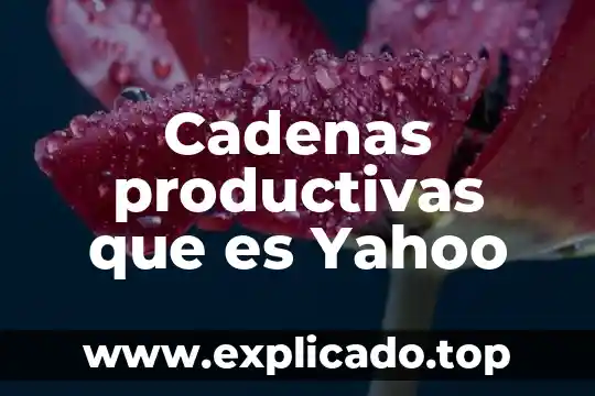 Que es agua de rosas y para que sirve 6 Cadenas productivas que es Yahoo