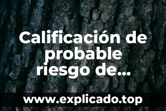 Qué es más probable que se caiga un avión 7 Calificación de probable riesgo de trabajo que es