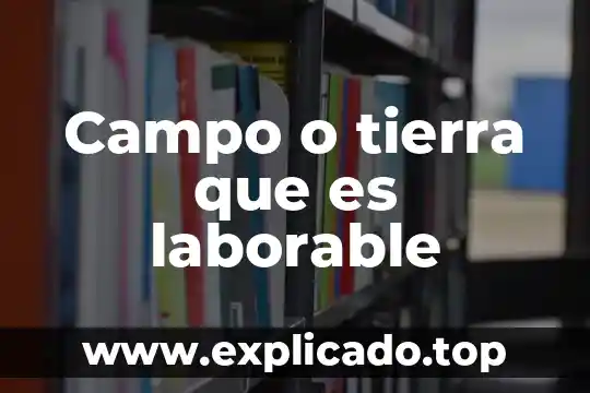 Que es simulacro de campo 3 Campo o tierra que es laborable