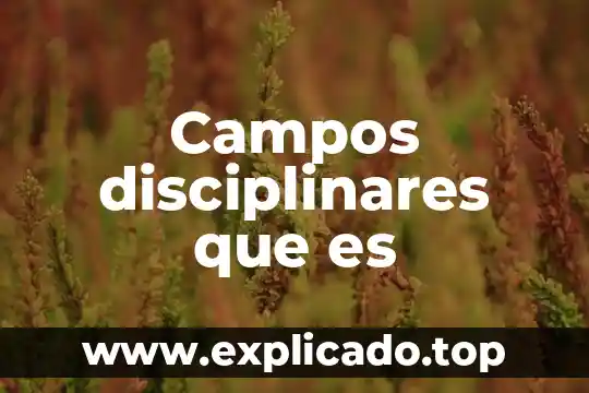 Que es un modelo de campos 8 Campos disciplinares que es