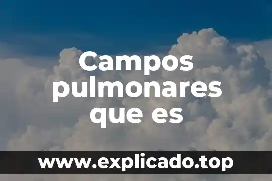 Campos disciplinares que es 4 Campos pulmonares que es