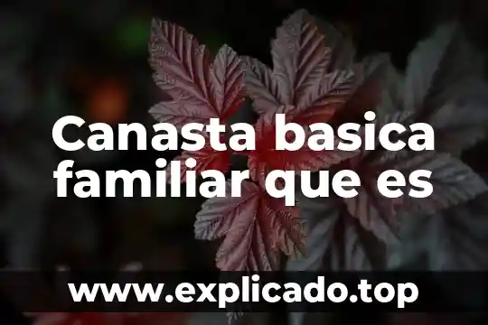 Que es la violencia familiar de los adolescentes 3 Canasta basica familiar que es