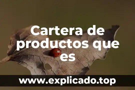 Cartera de credito y cobranza que es 4 Cartera de productos que es