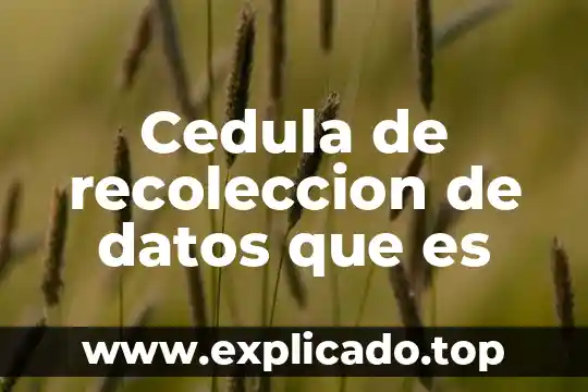 Que es recoleccion de datos que tipos exiasten 7 Cedula de recoleccion de datos que es