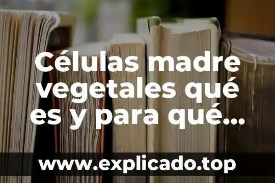 Felicidades que es comida 7 Células madre vegetales qué es y para qué sirve