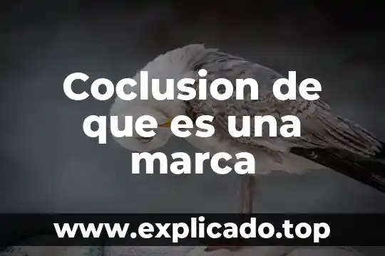 Coclusion de que es una marca