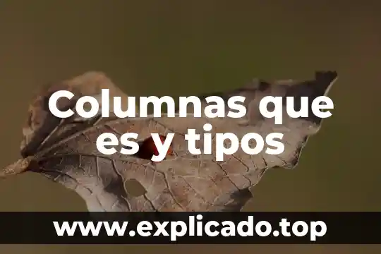 Columnas que es y tipos