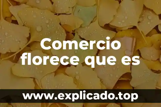 Qué es osd en comercio 8 Comercio florece que es