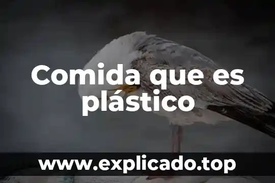 Qué es recomendable para diabéticos de comida 5 Comida que es plástico