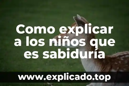 Qué es una línea tipográfica 3 Como explicar a los niños que es sabiduría