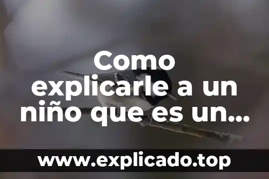 Como explicarle a un niño que es una adivinanza 3 Como explicarle a un niño que es un color