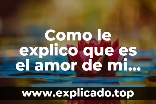 Que es el ordenador de mi computadora 3 Como le explico que es el amor de mi vida