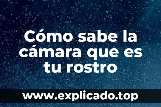 Que es ciando tu xoloitzcuincle esta mas caliente se 6 Cómo sabe la cámara que es tu rostro