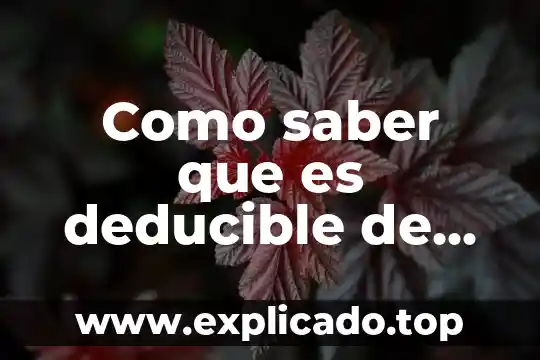 Que es gravar en materia de impuestos 8 Como saber que es deducible de impuestos